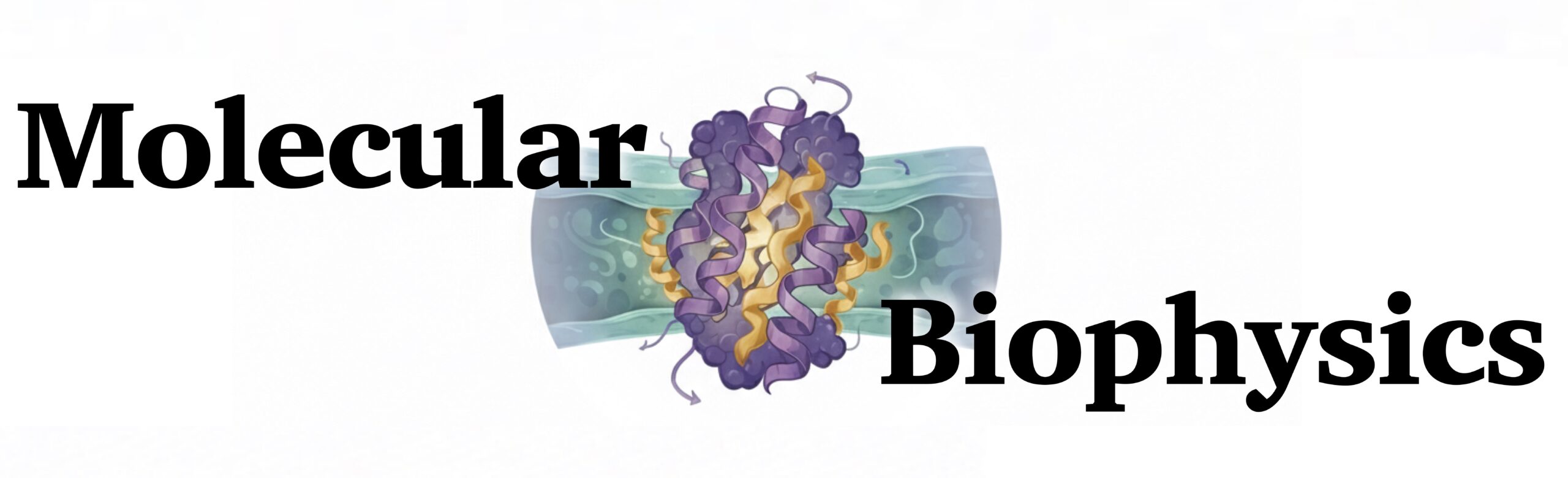 Molecular Biophysics